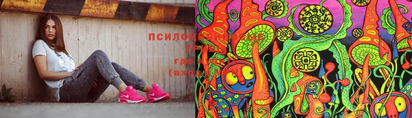 таблы Алексин