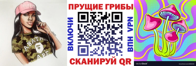 Галлюциногенные грибы Cubensis  Ленинск 